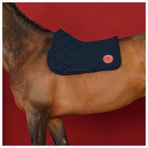 hermes horse whip price|Hermes saddle pads.